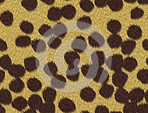 Cheetah fur texture