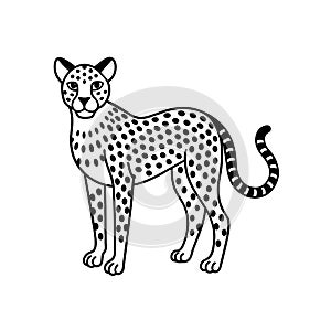 Cheetah graphic vector EPS