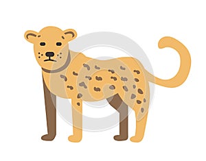 Cheetah, guepard character. Flat vector illustration. Isolated on white background