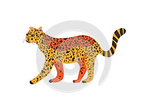 Cheetah, Guepard Wild Exotic African Animal Vector Illustration