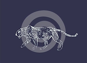 Cheetah. Hand drawn ink sketch. Horizontal drawing. Vector engraving. Predator line art. White line illustration isolated on dark