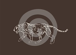 Cheetah. Hand drawn ink sketch. Horizontal drawing. Vector engraving. Predator line art. White line illustration isolated on dark photo