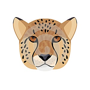 Cheetah head icon
