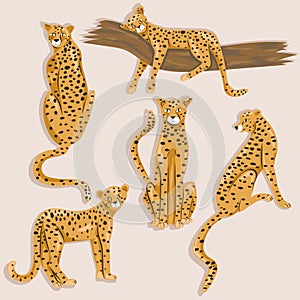 Cheetah illustration set. Cute animals.