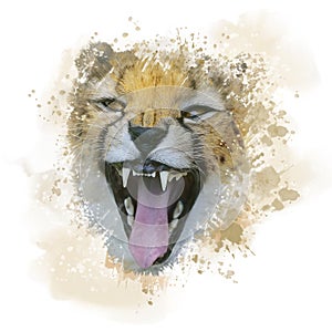 Cheetah Portrait watercolor
