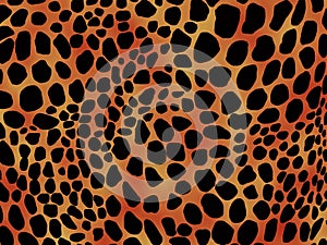 Cheetah print background photo