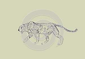 Cheetah prowling. Black line drawing Isolated on light green background. Hand drawn illustration. Pencil sketch.