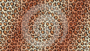 Cheetah skin tracery with light lines background. Yellow panther spots with black jaguar outlines.