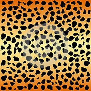 Cheetah spots