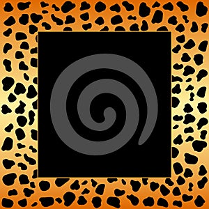 Cheetah spots frame