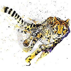 Cheetah T-shirt graphics, African animals cheetah illustration with splash watercolor textured background. unusual illustration w