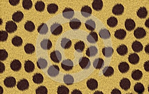 Cheetah texture background