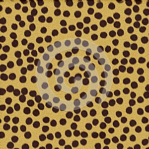 Cheetah Texture Background Fur