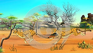 Cheetahs on the Hunt illustration