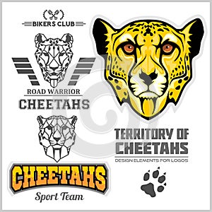 Cheetahs Set - Vector elements for sport team and logo. Vector illustration for t-shirt and badges