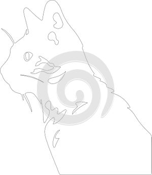 Cheetoh Cat outline Outline Silhouette Generative Ai