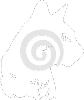 Cheetoh Cat outline Outline Silhouette Generative Ai