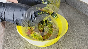 Chef with black latex gloves pours herbs onto cut fresh tuna fillet, seasoning scatters in different directions.