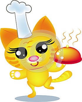 Chef cat