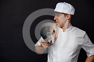 Chef cook holding a big atlantic salmon fish on his shoulder solated on black background