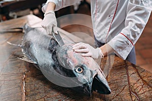 The chef cut up a big Tuna fish in the restaurant.