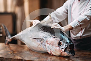 The chef cut up a big Tuna fish in the restaurant.