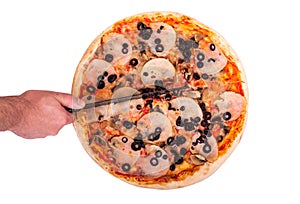 The chef cuts the pizza with a kitchen knife. Delicious pizza with ham, mozzarella, mushrooms and olives, isolated on white