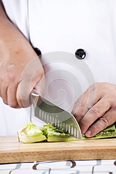 Chef cutting green lettuce