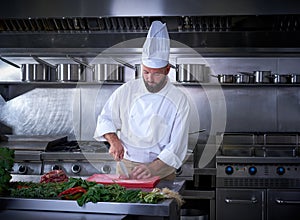 Chef cutting meat in restaurant kitchen