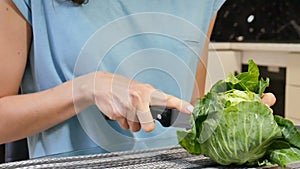 Chef cutting white cabbage on table, close up female hands. Diet healthy food concept.