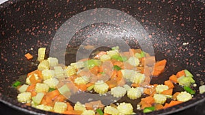 Chef frying carrot, spring onion and baby corn in pan close-up. Woman chief cooking dish with grilled vegetables, vegetarian food.