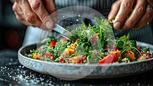 Chef garnishing gourmet tartare with precision.