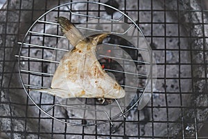 Chef hand grilling hamachi kama fish cheek with charcoal in matte color.