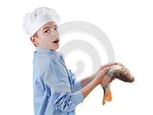 Chef holding a fish carp on white background