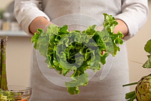 The chef is holding a green lettuce in the form of a heart. The concept of losing healthy and wholesome food, detox, vegan eating