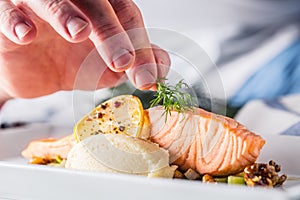 Chef in hotel or restaurant kitchen cooking, only hands. Prepared salmon steak with dill decoration