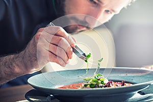 Chef in hotel or restaurant kitchen cooking, only hands. He is working on the micro herb decoration. Preparing tomato soup