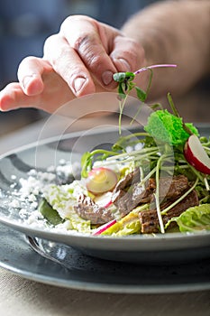 Chef in hotel or restaurant kitchen cooking, only hands. He is working on the micro herb decoration. Preparing vegetable salad