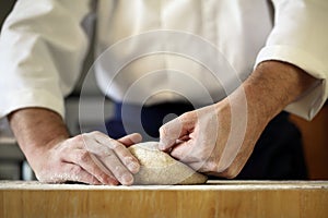 Chef kneading yeast dough photo