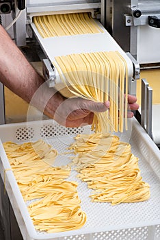 Chef making fresh tagliatelle pasta