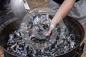 Chef with mussels in cauldron