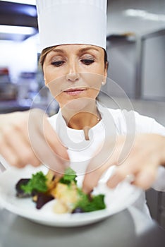 Chef, plate and hands of woman in restaurant for catering service, fine dining or prepare dish. Hospitality