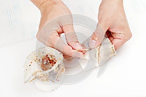 Chef prepares fresh eel rolls