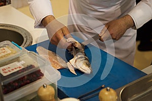 The chef prepares fresh fish fillet. Man hands gutting fish, close-up