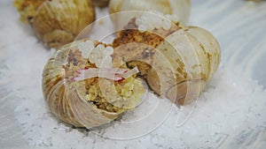 The chef preparing dish with Escargots snails with white caviar in the elite restaurant