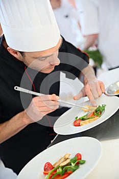 Chef preparing gastronomical dish