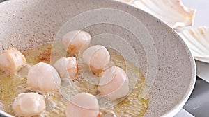 Chef preparing healthy gourmet food, seared scallops in a frying pan. A traditional dish of france and italy sea food