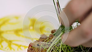 Chef preparing raw meat tartare in sauce, man arranging the tartare in a plate and garnishing it. Fresh meat eco cuisine