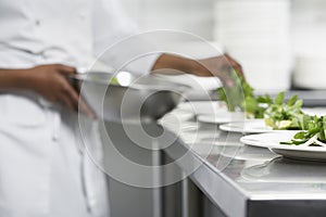 Chef Preparing Salad photo