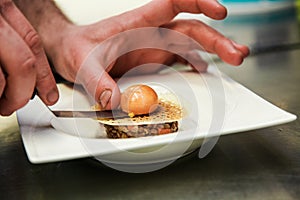 A chef putting a boiled egg on a meal in a French gastronomic restaurant photo